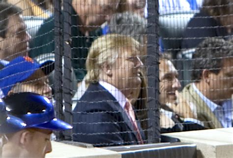 donald trump political scenery