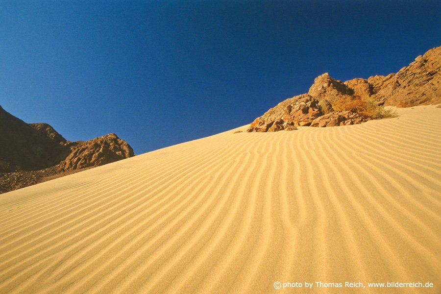why-so-much-desert-sand-x8miuc4e