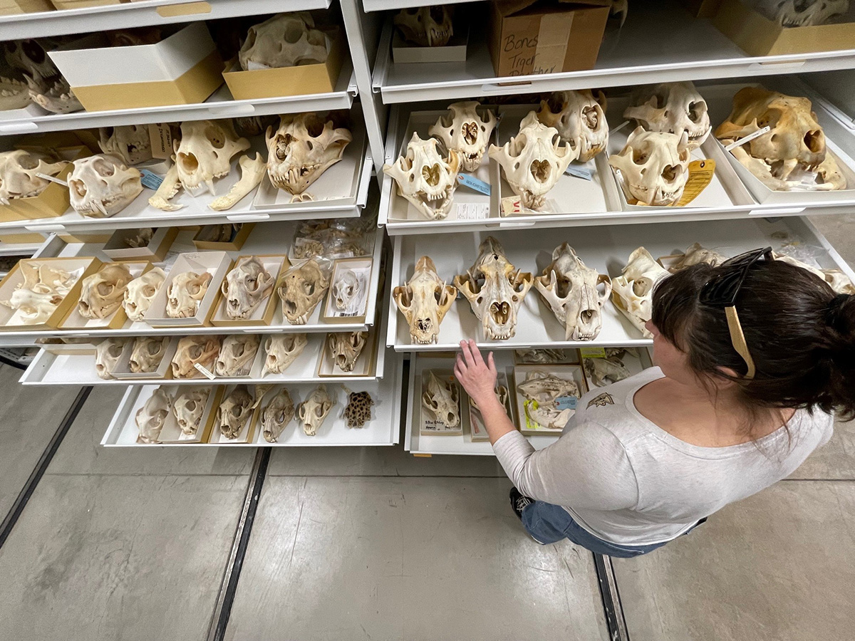 wildlife conservation forensic laboratory investigation
