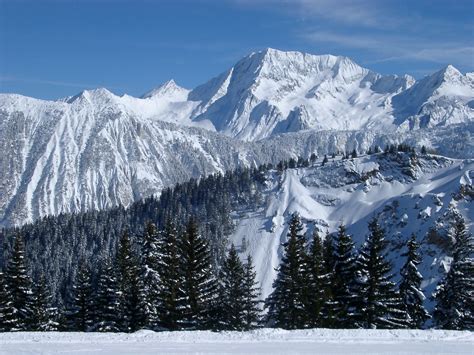 winter snowy landscape