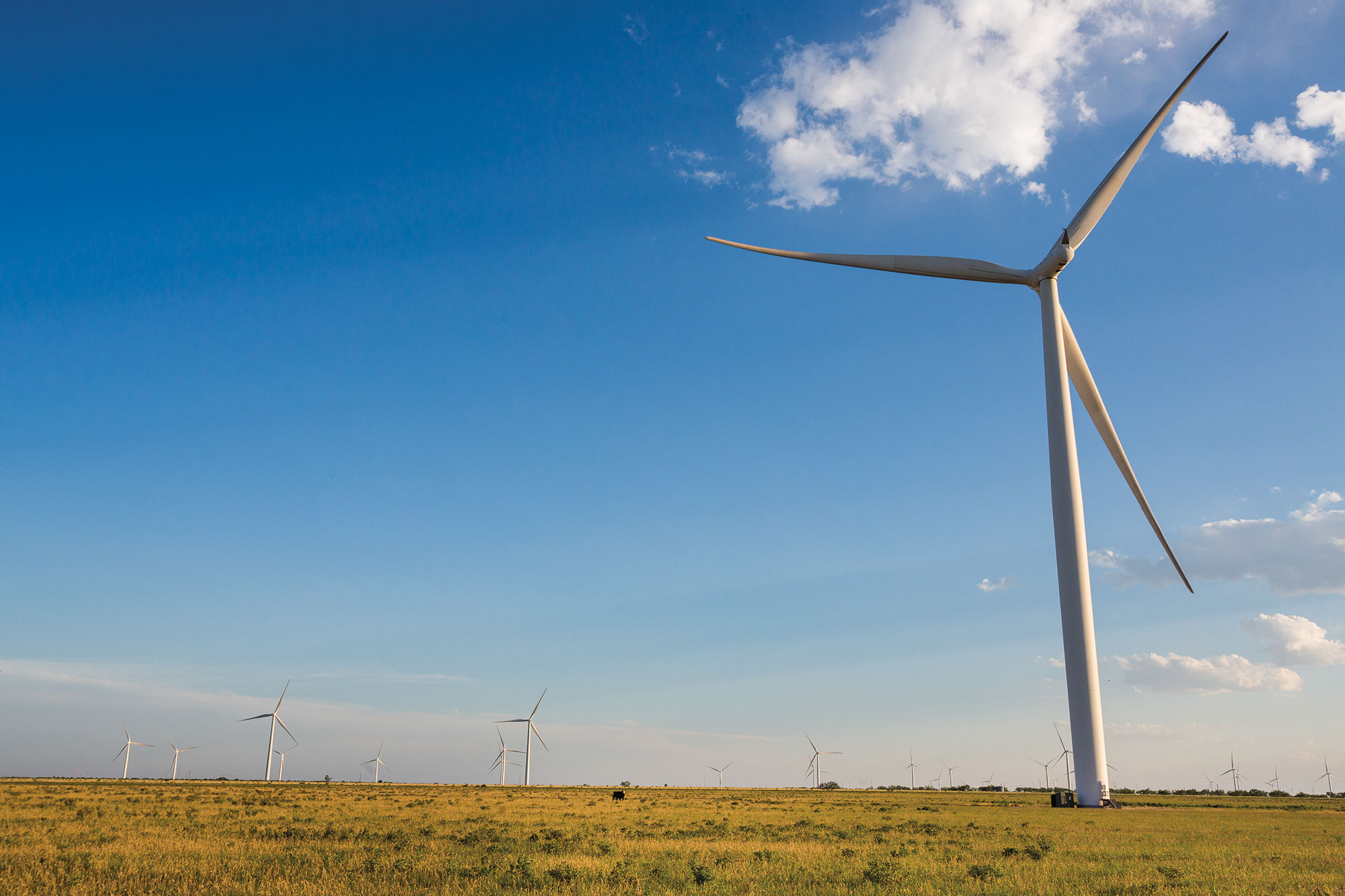 wind turbines in a scenic landscape