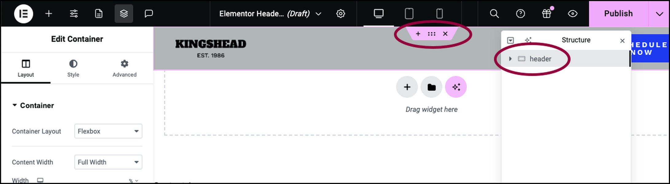 Elementor Section Settings