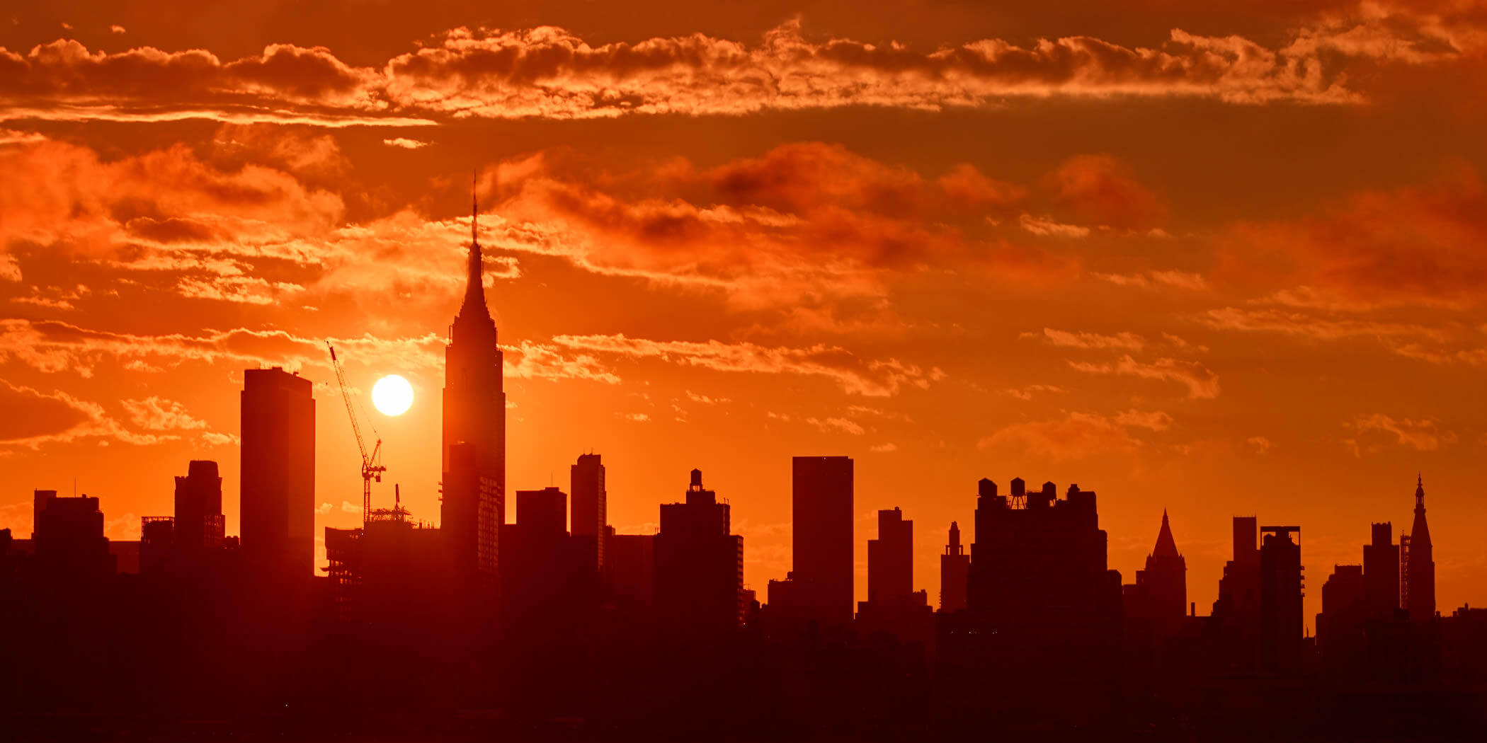 cityscape skyline