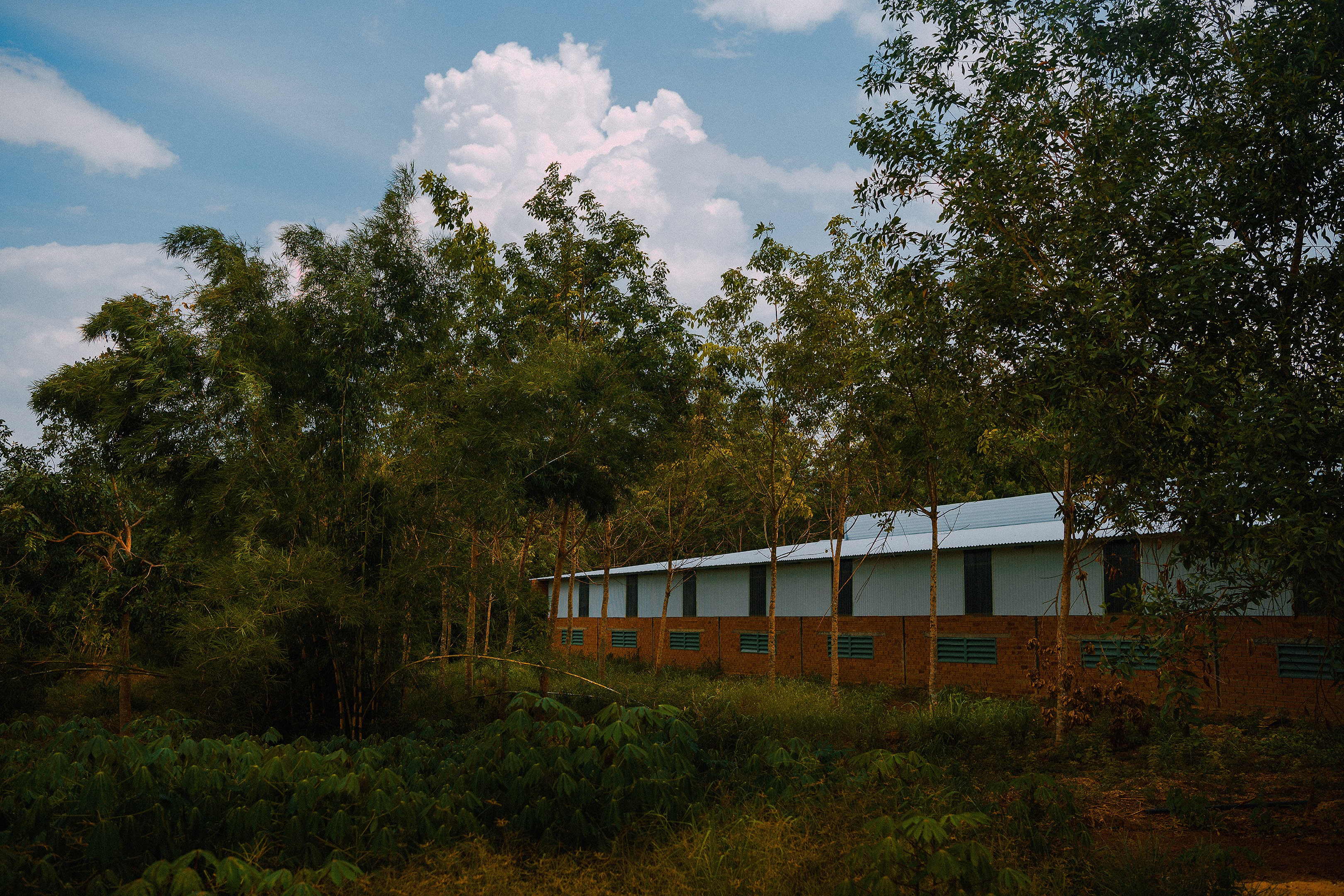 modern insect farm agriculture field