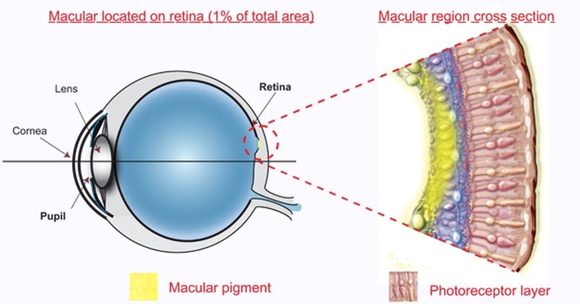 Concept image illustrating glare reduction and eye protection