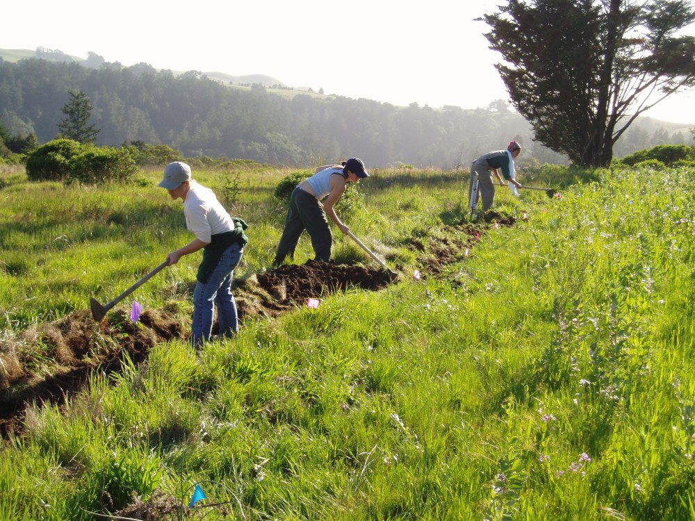 sustainable farm landscape