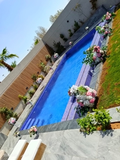 صورة 1 من 1