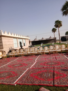 صورة 2 من 2