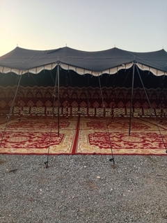 صورة 1 من 1