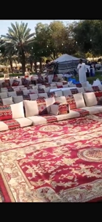 صورة 1 من 1
