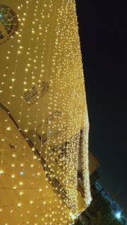 صورة 1 من 1