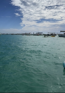 صورة 1 من 2