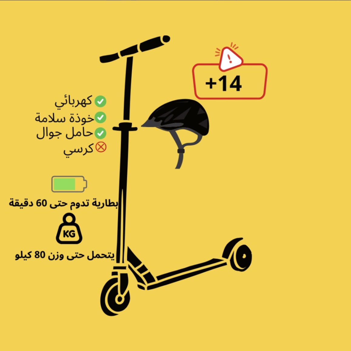 صورة المنتج