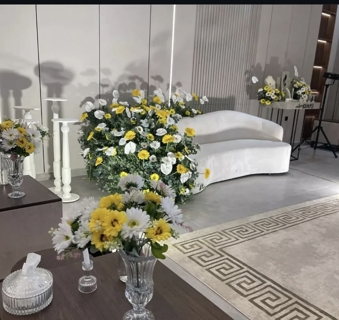 صورة 1 من 1