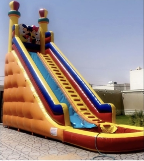 صورة 1 من 1