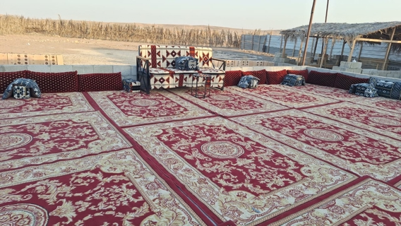 صورة 1 من 1