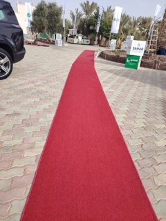 صورة 1 من 1