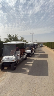 صورة 1 من 1