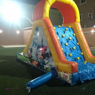 صورة 1 من 1