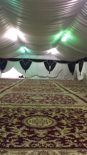 صورة 1 من 1