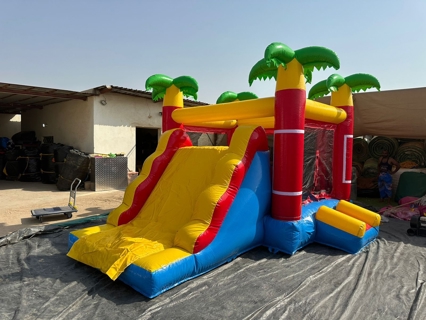 صورة 1 من 1