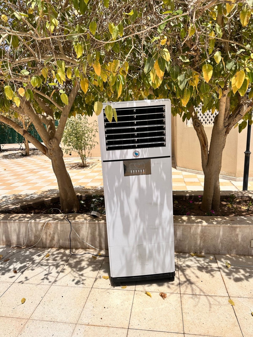 صورة المنتج