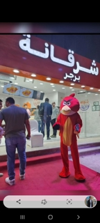 صورة 1 من 1