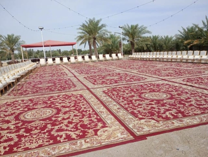 صورة 1 من 1