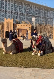 صورة 1 من 1