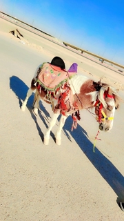 صورة 1 من 1