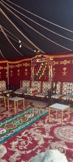 صورة 1 من 1