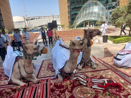 صورة 1 من 1