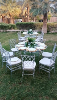 صورة 1 من 1