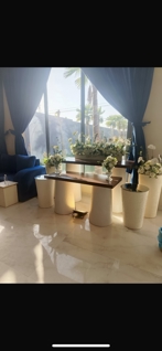 صورة 1 من 1
