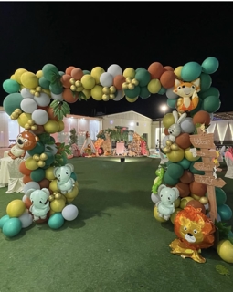 صورة 1 من 1