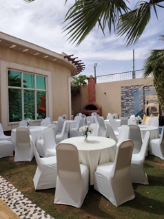 صورة 1 من 1