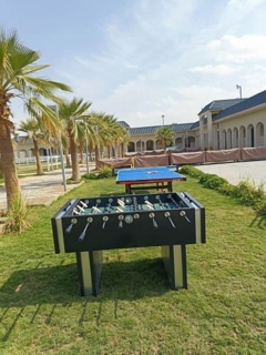صورة 1 من 1