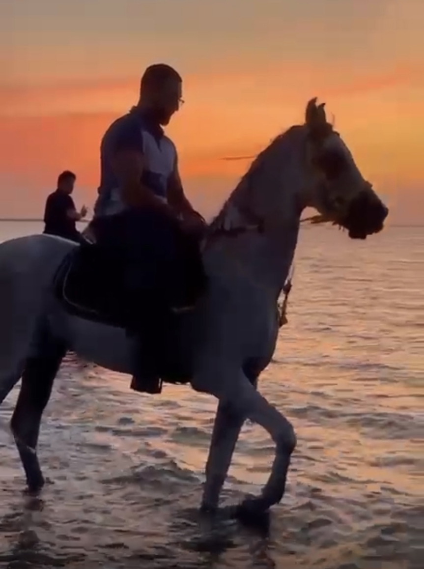 صورة المنتج
