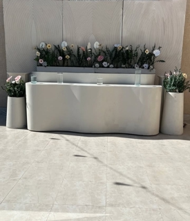 صورة 1 من 1