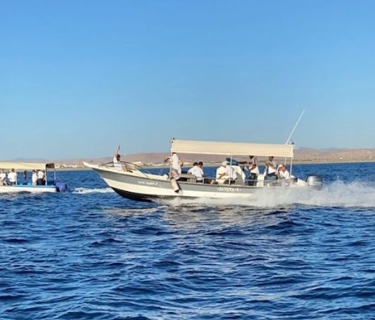 صورة 1 من 1