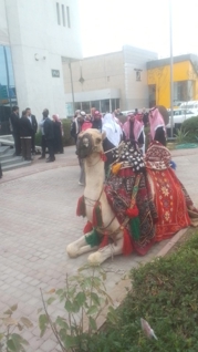 صورة 1 من 1