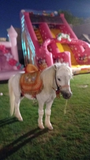 صورة 1 من 1