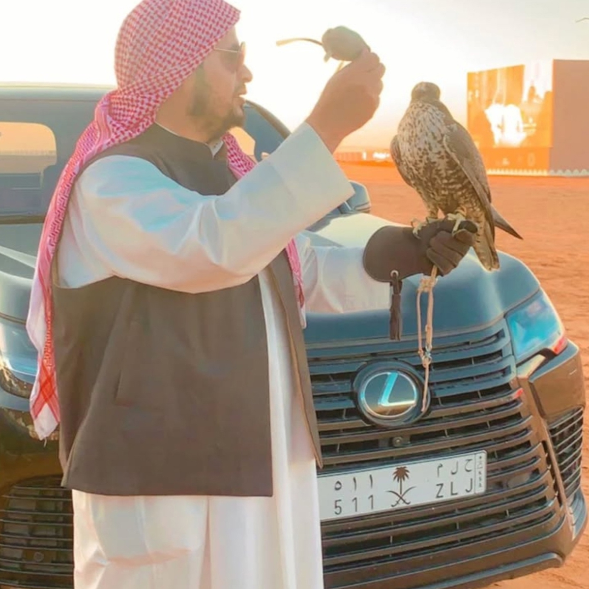 صورة المنتج