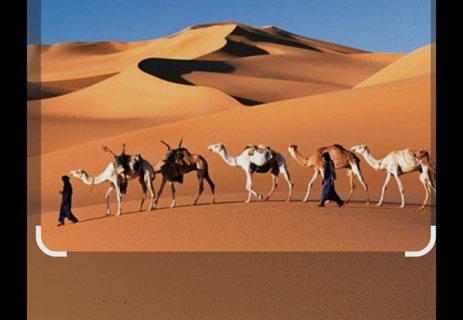 صورة 1 من 1