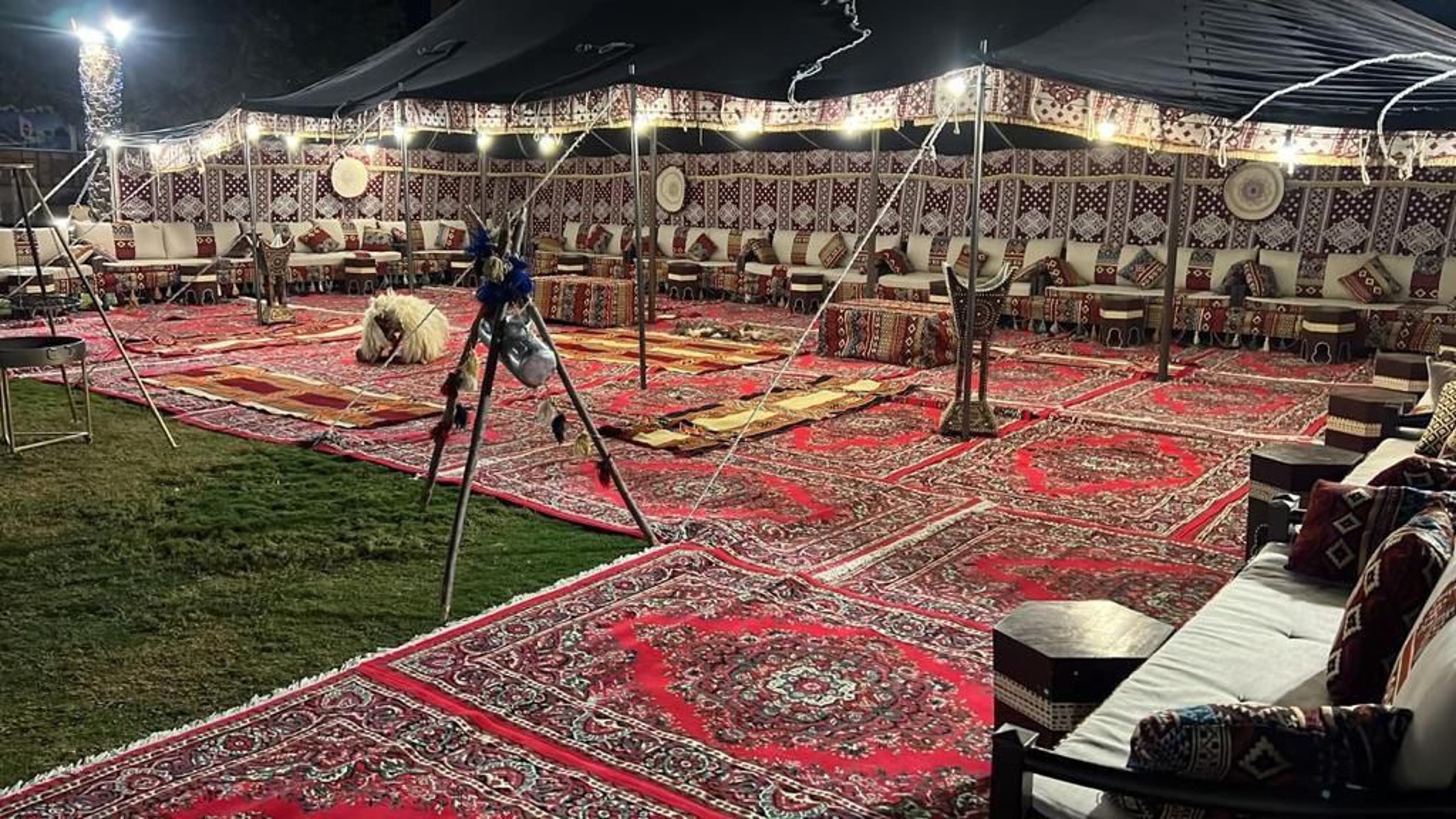 صورة المنتج