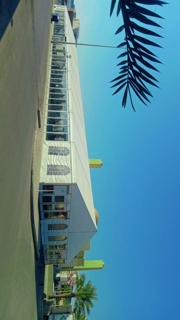 صورة 1 من 1