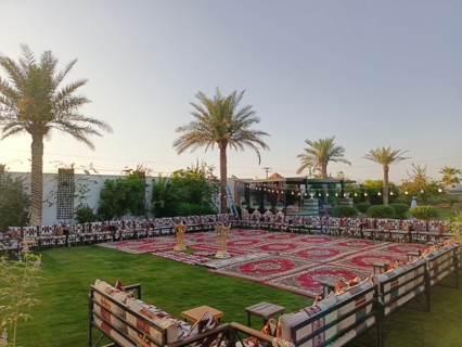 صورة 1 من 1
