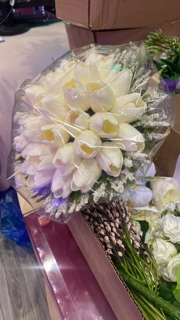صورة 1 من 4