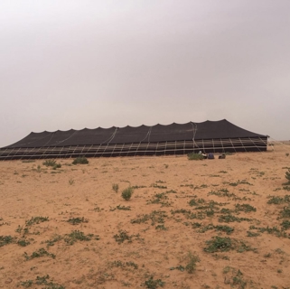 صورة 1 من 1