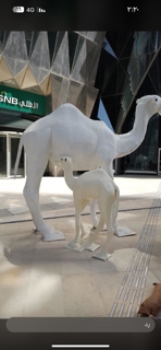 صورة 1 من 1
